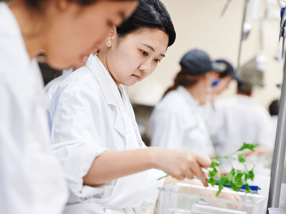 Workers in white lab coats handling fresh herbs at a food preparation or quality control line